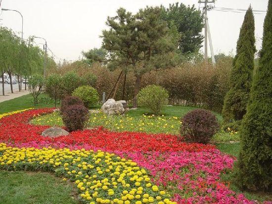 园林绿化-产品中心-天津中尚世纪建筑装饰工程有限公司